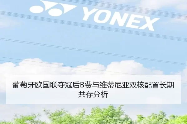 葡萄牙欧国联夺冠后B费与维蒂尼亚双核配置长期共存分析